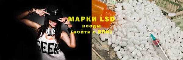 ПСИЛОЦИБИНОВЫЕ ГРИБЫ Магас