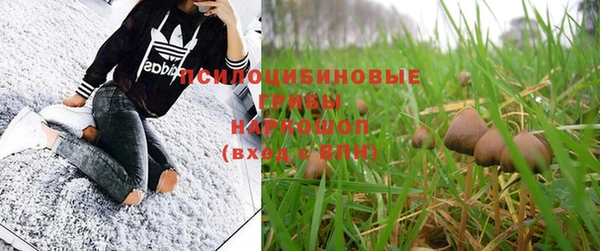 прущая мука Заволжье