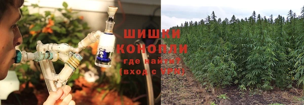 скорость Заводоуковск