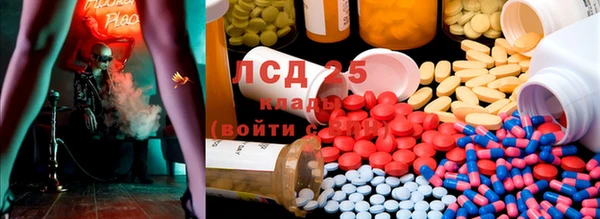 прущие крисы Магадан