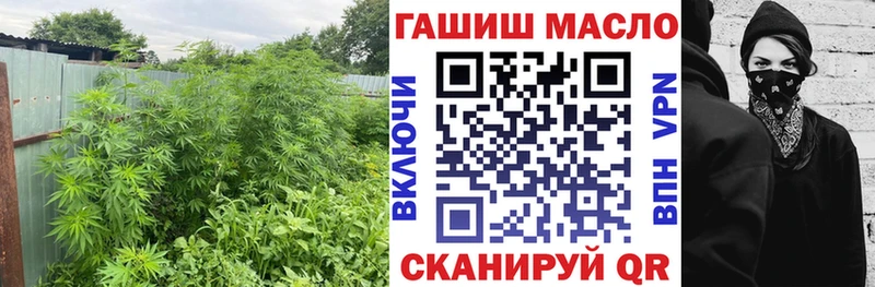 ТГК жижа  закладки  Домодедово 